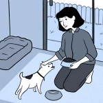 The Real Annual Cost of Owning a Cat or Dog Beyond Food Expenses