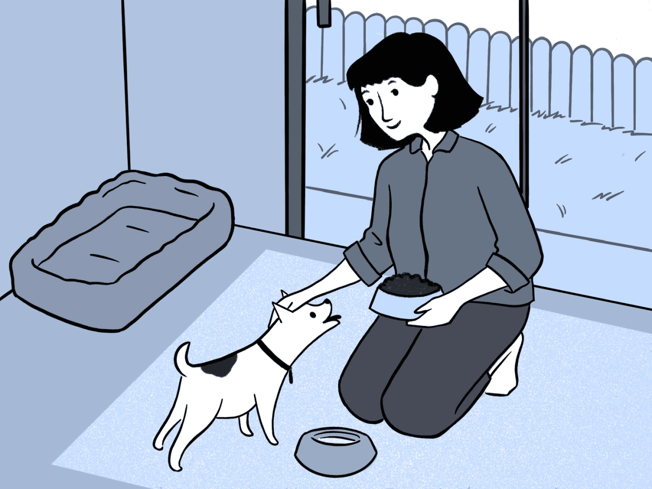 The Real Annual Cost of Owning a Cat or Dog Beyond Food Expenses