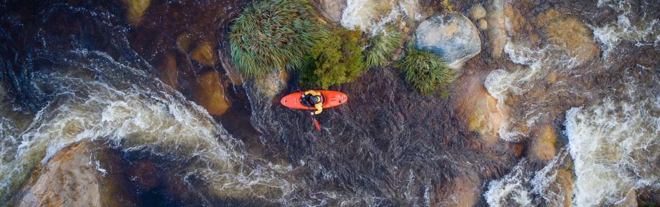 Should Young People Trade Stocks Insights from Behavioral Finance