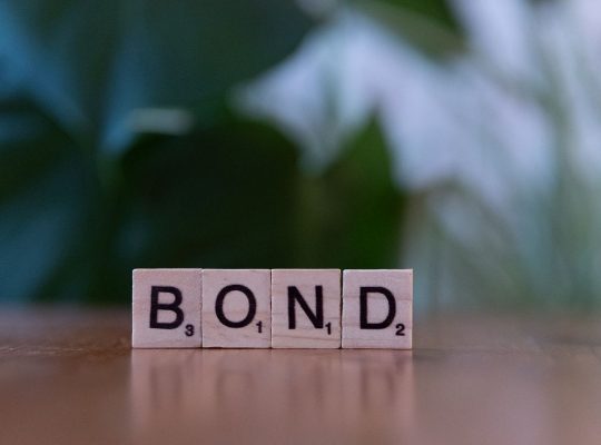 Bond Laddering for Beginners: Building a Steady Income Stream