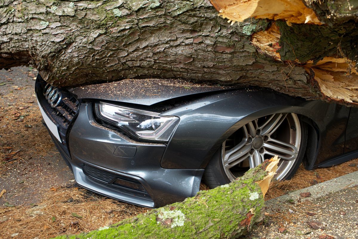 car insurance vehicle