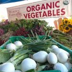 Is Organic Food a “Luxury”?