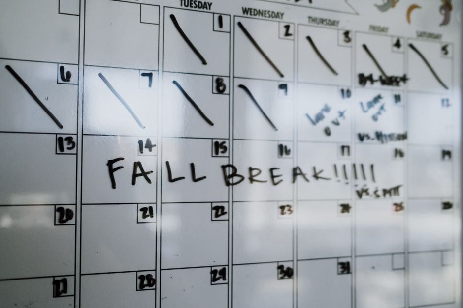Repayment Calendar That Survives Payday Shifts