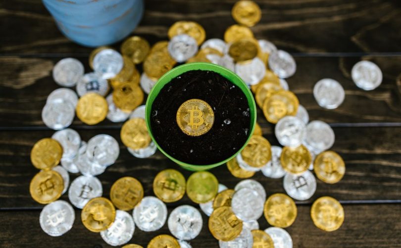 Compound Interest Explained: How Small Savings Become Big Wealth