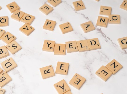 Dividend Stocks for Beginners: Building Passive Income One Quarter at a Time